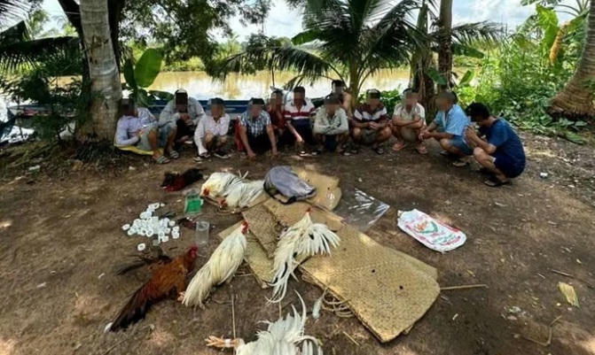 Bắt quả tang 12 đối tượng đánh bạc bằng hình thức đá gà ăn tiền.
