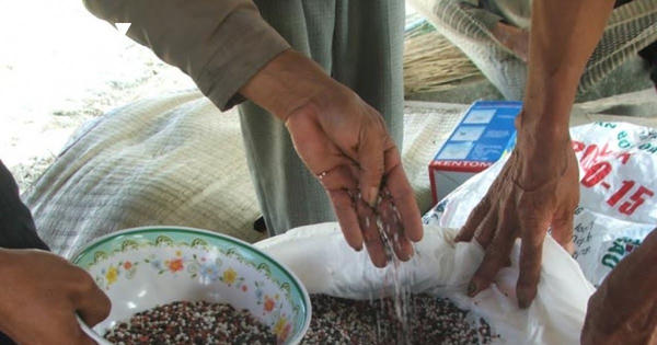 Bắt giám đốc công ty bán hơn 250 tấn phân bón giả