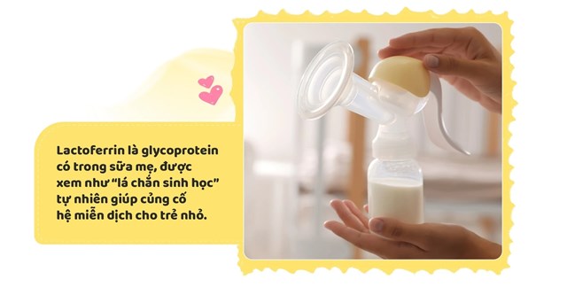Lactoferrin và bước tiến mới trong dinh dưỡng đề kháng - Ảnh 1