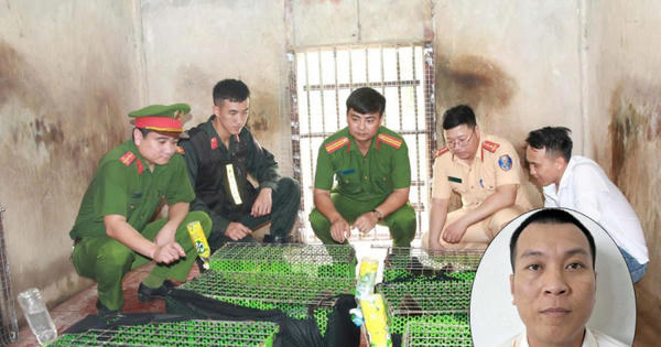 Phá đường dây vận chuyển, tiêu thụ động vật quý hiếm quy mô lớn