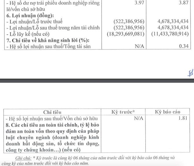 Vi phạm công bố thông tin, Bất động sản Vĩnh Xuân bị phạt - Ảnh 2