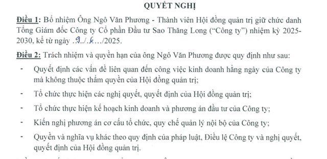 Công ty Đầu tư Sao Thăng Long (DST) có Tổng Giám đốc mới - Ảnh 1