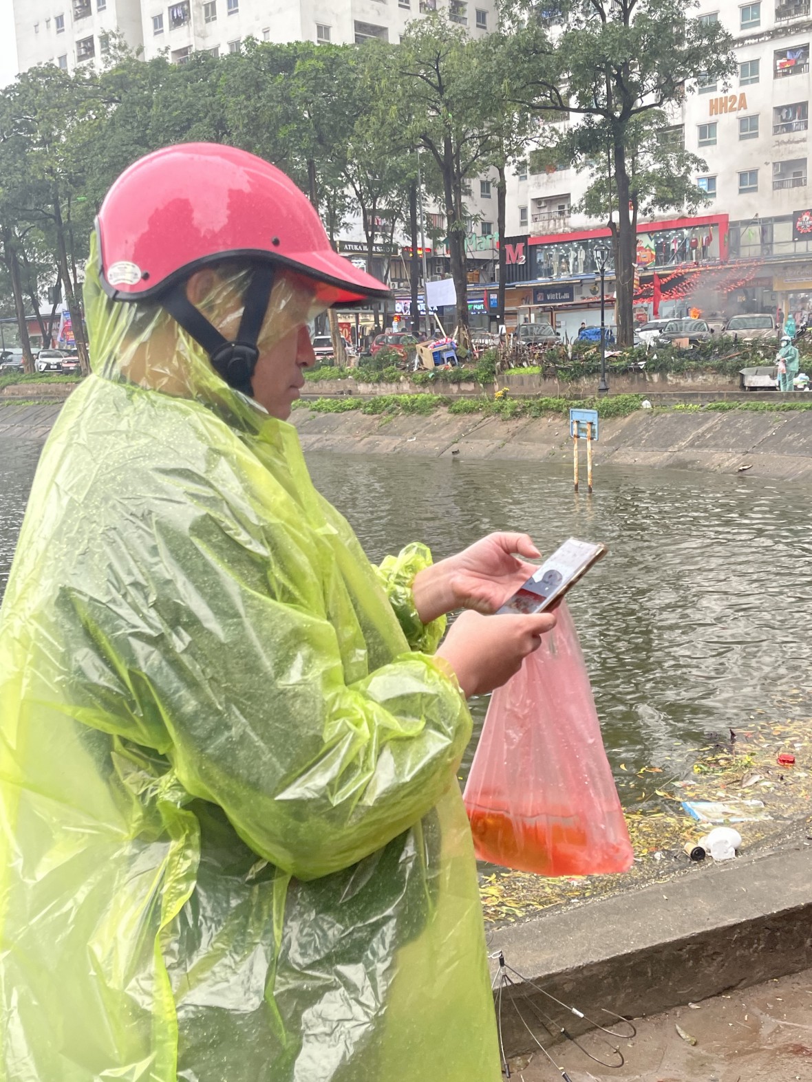 Người Hà Nội mặc áo mưa thả cá chép sớm trong ngày mưa lạnh Người Hà Nội mặc áo mưa thả cá chép sớm trong ngày mưa lạnh