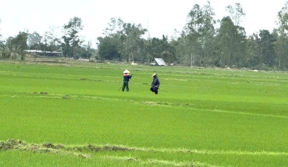 Đắk Lắk: Nhân dân vùng “rốn lũ” Hòa Thịnh rộn ràng đón Tết, vững niềm tin theo Đảng