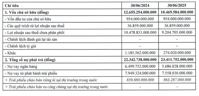 Nợ phải trả tăng cao, lợi nhuận đi xuống, Phú Mỹ Hưng vẫn tất toán một lô trái phiếu - Ảnh 2