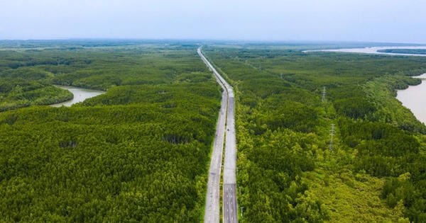 TP HCM giao doanh nghiệp lập đề xuất mở rộng trục Rừng Sác, dự kiến 8 làn xe