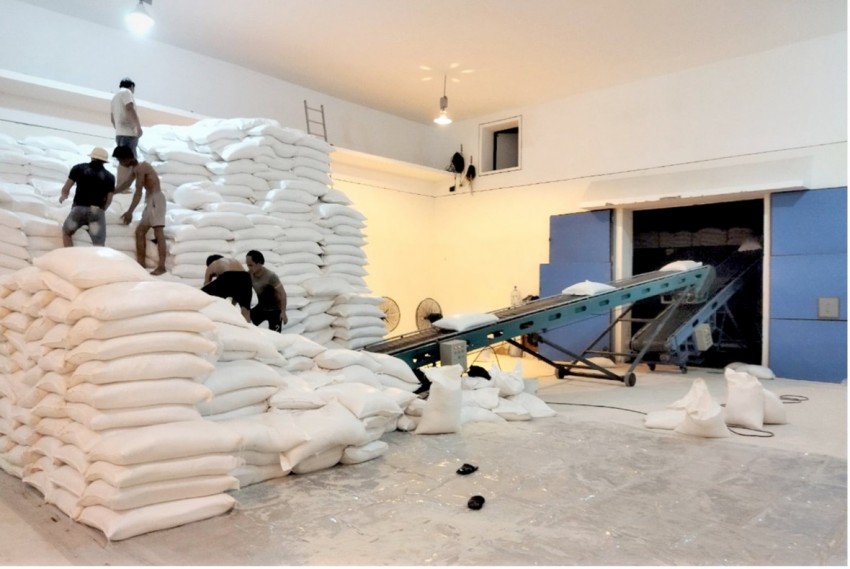 Công điện của Thủ tướng về việc điều hành sản xuất và tiêu thụ lúa gạo trong tình hình mới