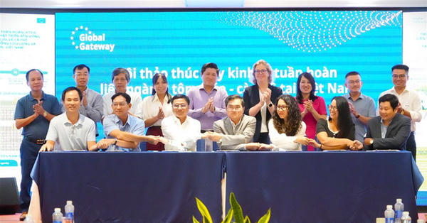 Cà Mau: Thúc đẩy kinh tế tuần hoàn liên ngành, tạo động lực cho ngành tôm, lúa và cà phê