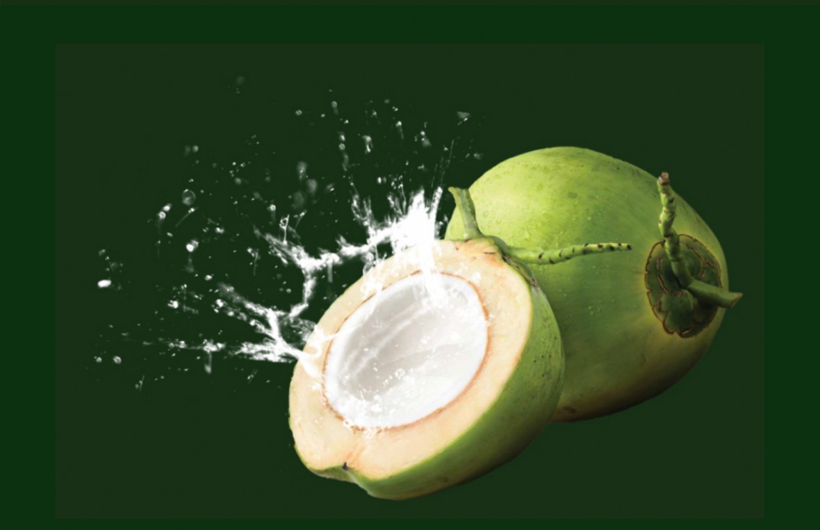 Nâng tầm vị thế ngành Dừa: Không thể chậm trễ bảo hộ thương hiểu