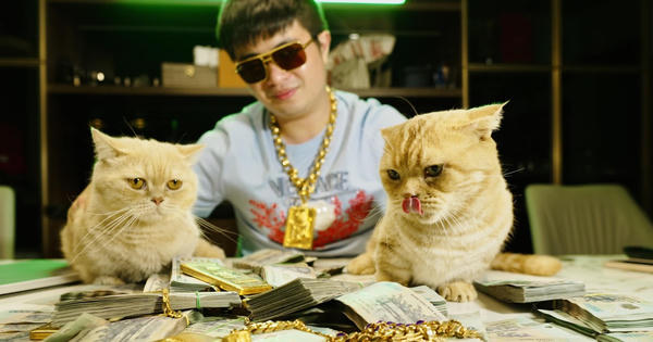 Thu giữ khối tài sản trị giá hàng chục tỷ đồng tại nhà bạn gái “Mr Pips”.