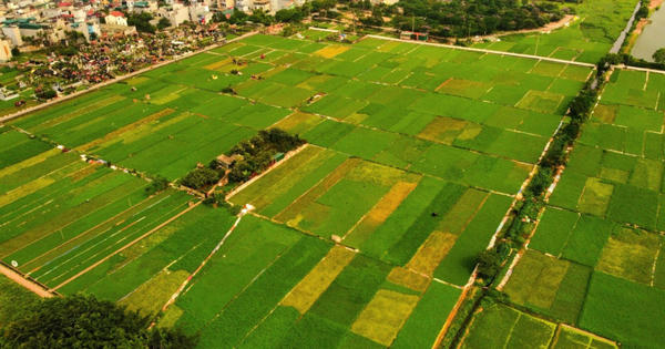 Hà Nội: Phân cấp cho cấp xã cấp phép xây dựng trên đất nông nghiệp