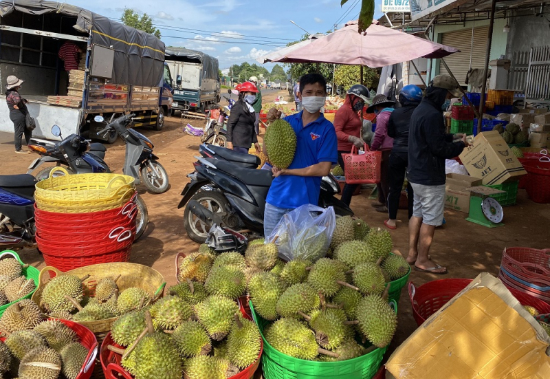 1814-gia-lua-gao-hom-nay