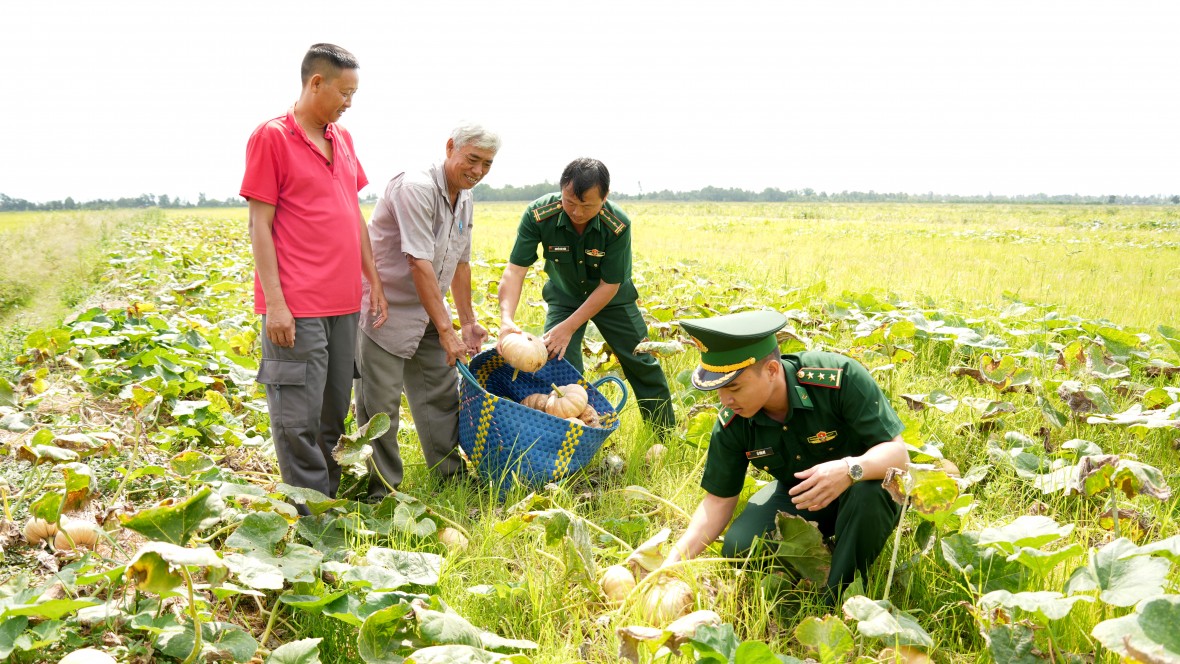 BĐBP Cà Mau hỗ trợ tiêu thụ bí đỏ, tiếp sức nông dân vượt khó BĐBP Cà Mau hỗ trợ tiêu thụ bí đỏ, tiếp sức nông dân vượt khó