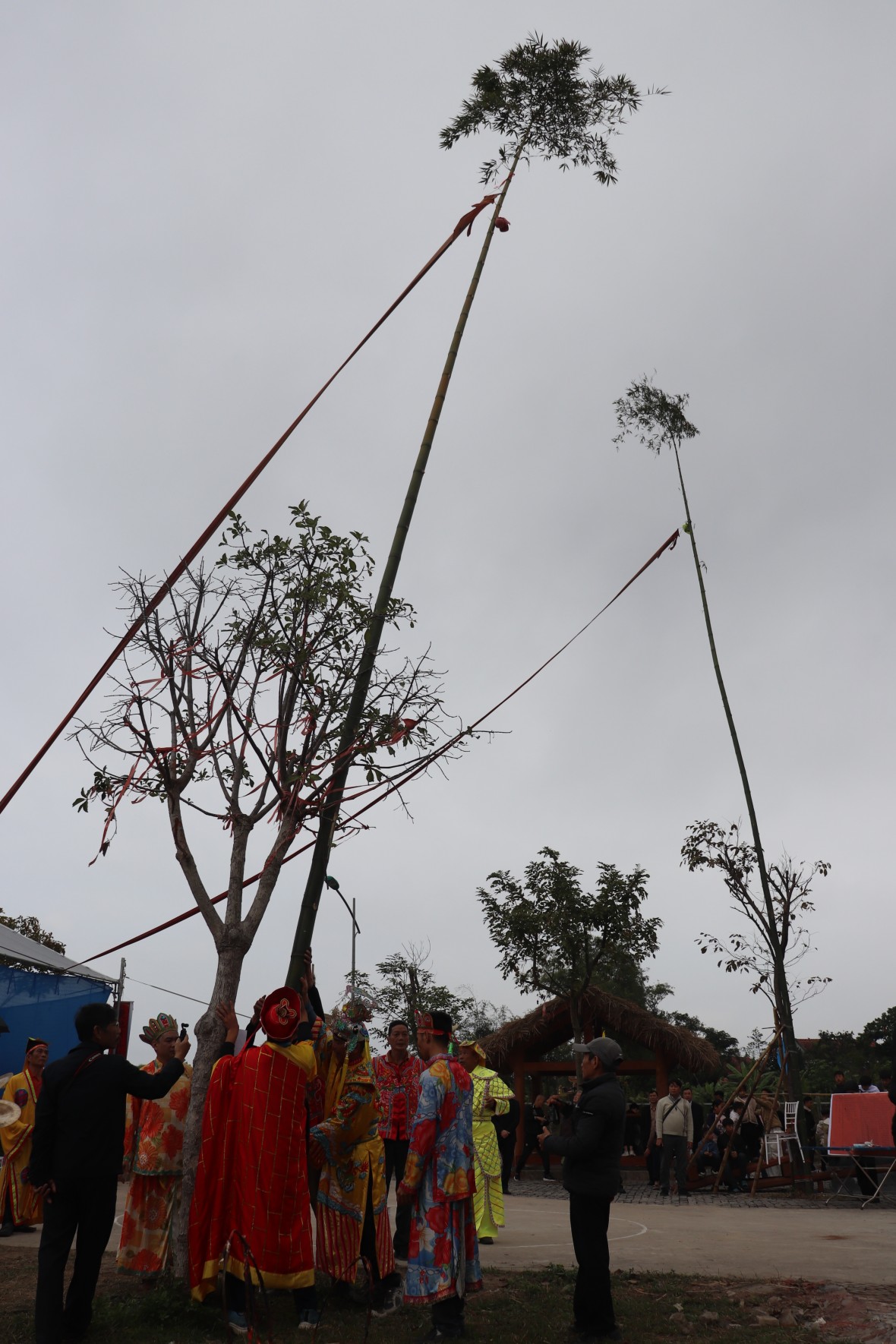 Lễ Đại Phan Vân Đồn: Leo dao chân trần, nhảy than cầu khởi vận Lễ Đại Phan Vân Đồn: Leo dao chân trần, nhảy than cầu khởi vận