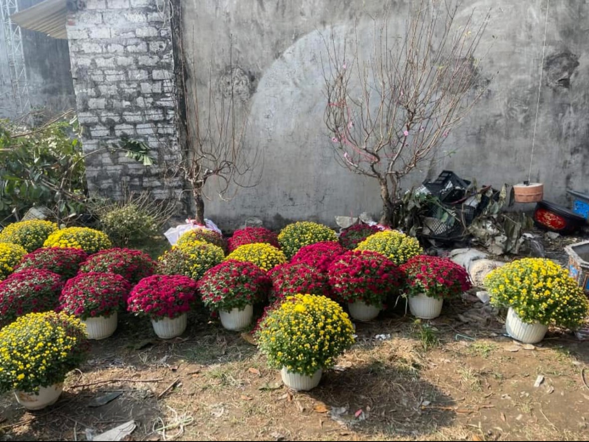 Tết về trong tiếng sóng Tết về trong tiếng sóng