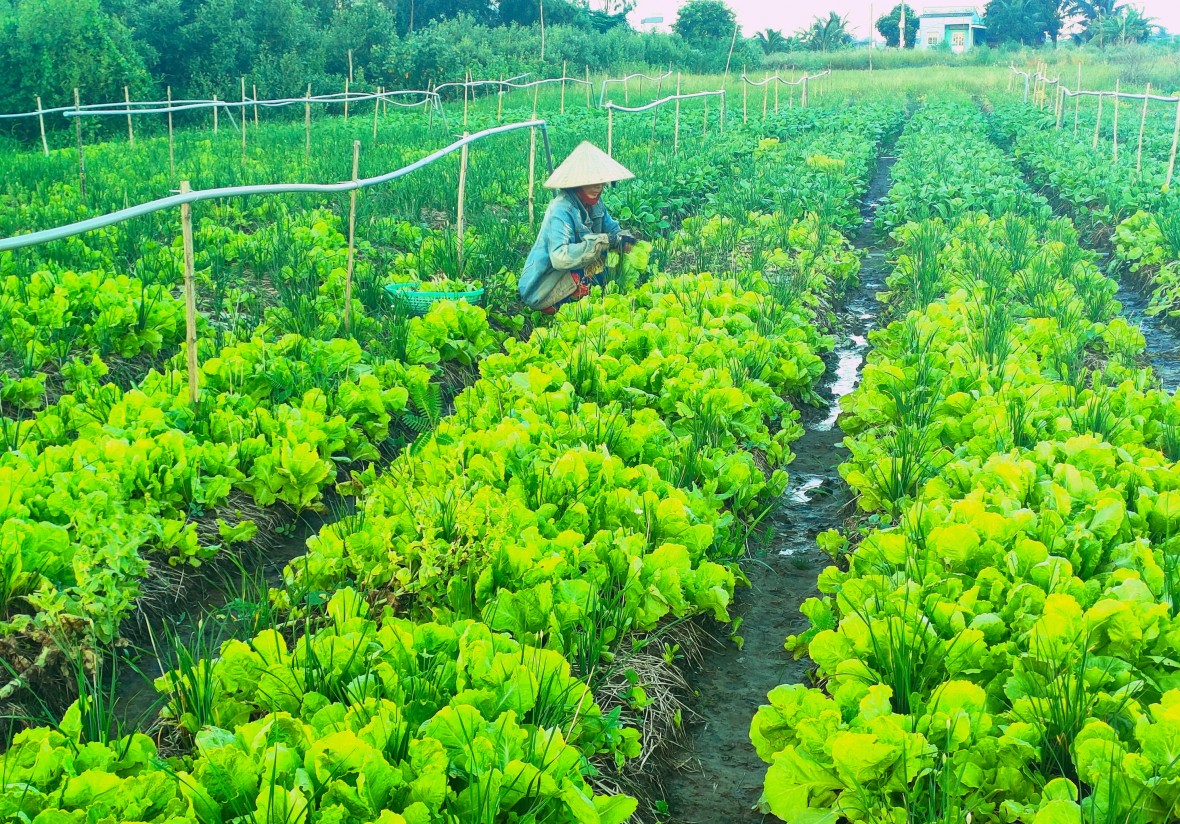 Trợ giúp pháp lý ở Cà Mau: Pháp luật trở thành điểm tựa vững chắc cho đối tượng chính sách và nhóm yếu thế