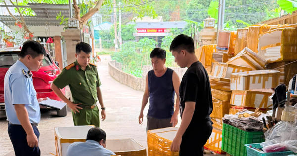 Phát hiện gần 300kg chả mực, mực khô vi phạm tại Vân Đồn