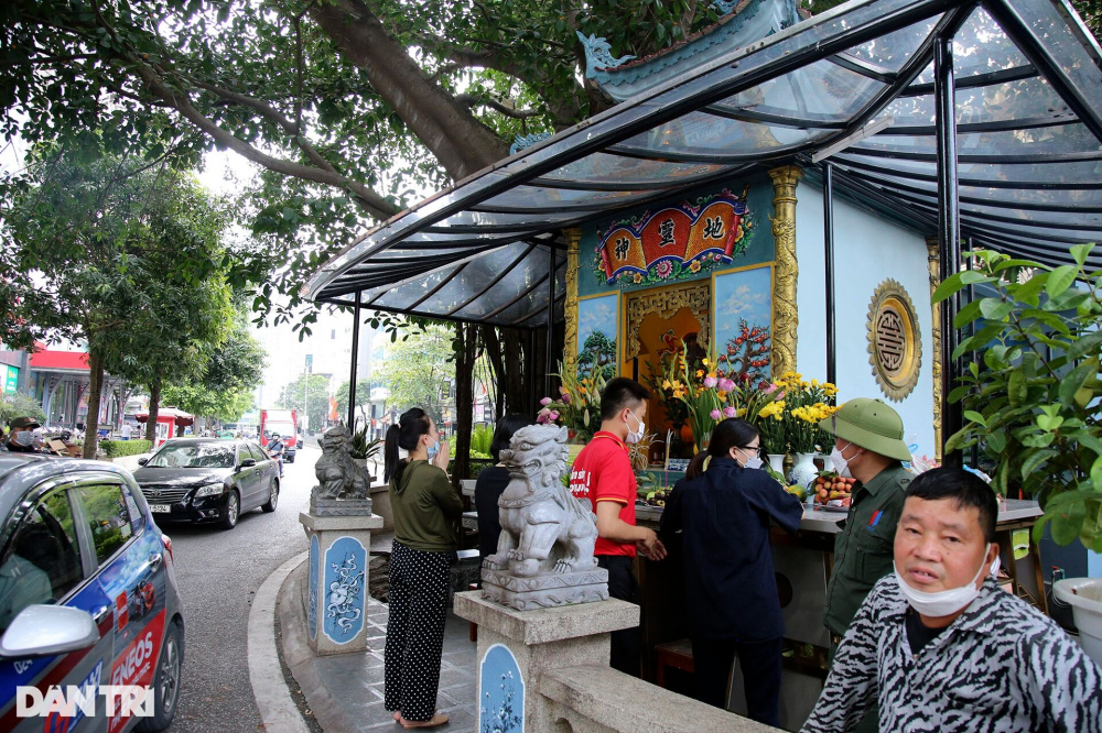 Những cây đại thụ án ngữ giữa đường lớn ở Hà Nội vẫn sống khỏe - 9 Những cây đại thụ án ngữ giữa đường lớn ở Hà Nội vẫn sống khỏe - 9