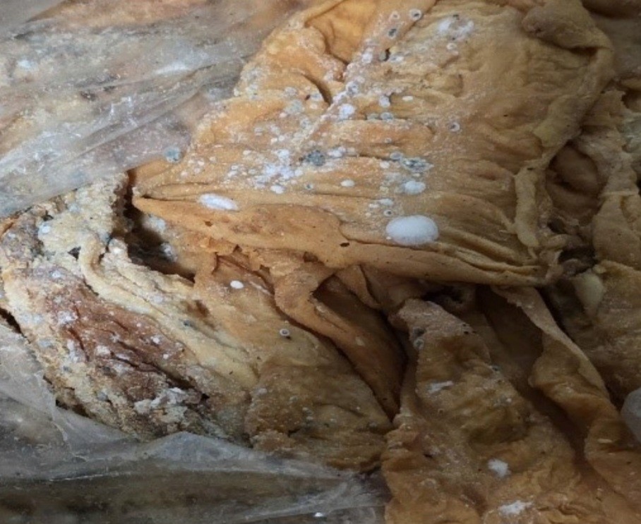 Tạm giữ gần 1,7 tấn lòng lợn không rõ nguồn gốc tại Móng Cái