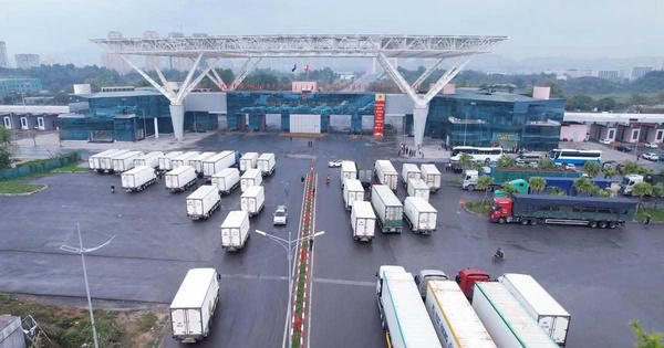 Hải quan khu vực VIII thu ngân sách gần 7.500 tỷ đồng
