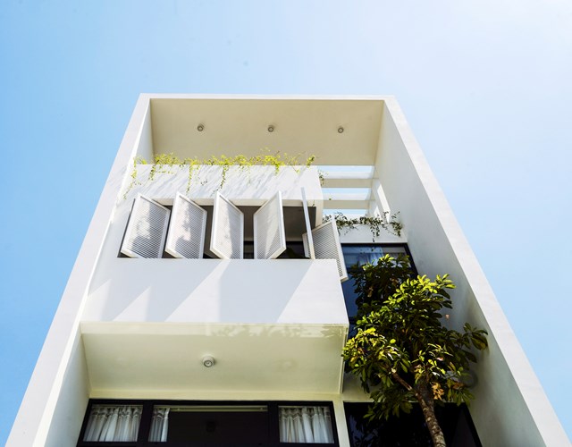 Kh&ocirc;ng gian trong nh&agrave; kh&ocirc;ng thể thiếu c&acirc;y xanh. &nbsp;