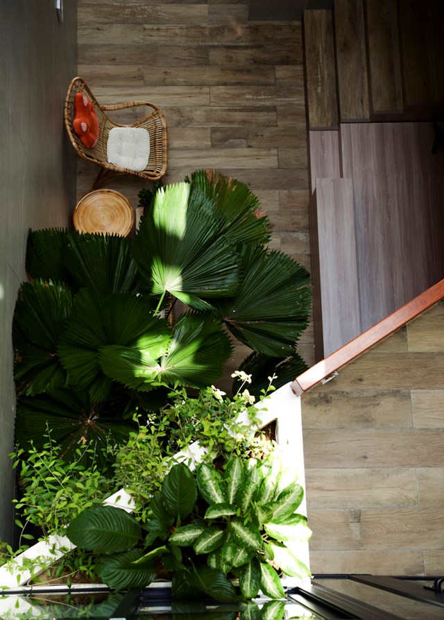 Ngôi nhà kết nối các thành viên, tránh xa thế giới công nghệ - Ảnh 2