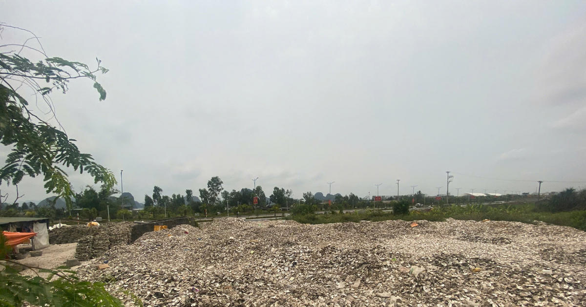 Khởi tố chủ cơ sở sơ chế hàu ở Vân Đồn vì gây ô nhiễm môi trường