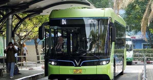 Từ hôm nay, TP HCM miễn vé 134 tuyến xe buýt đến hết năm 2026