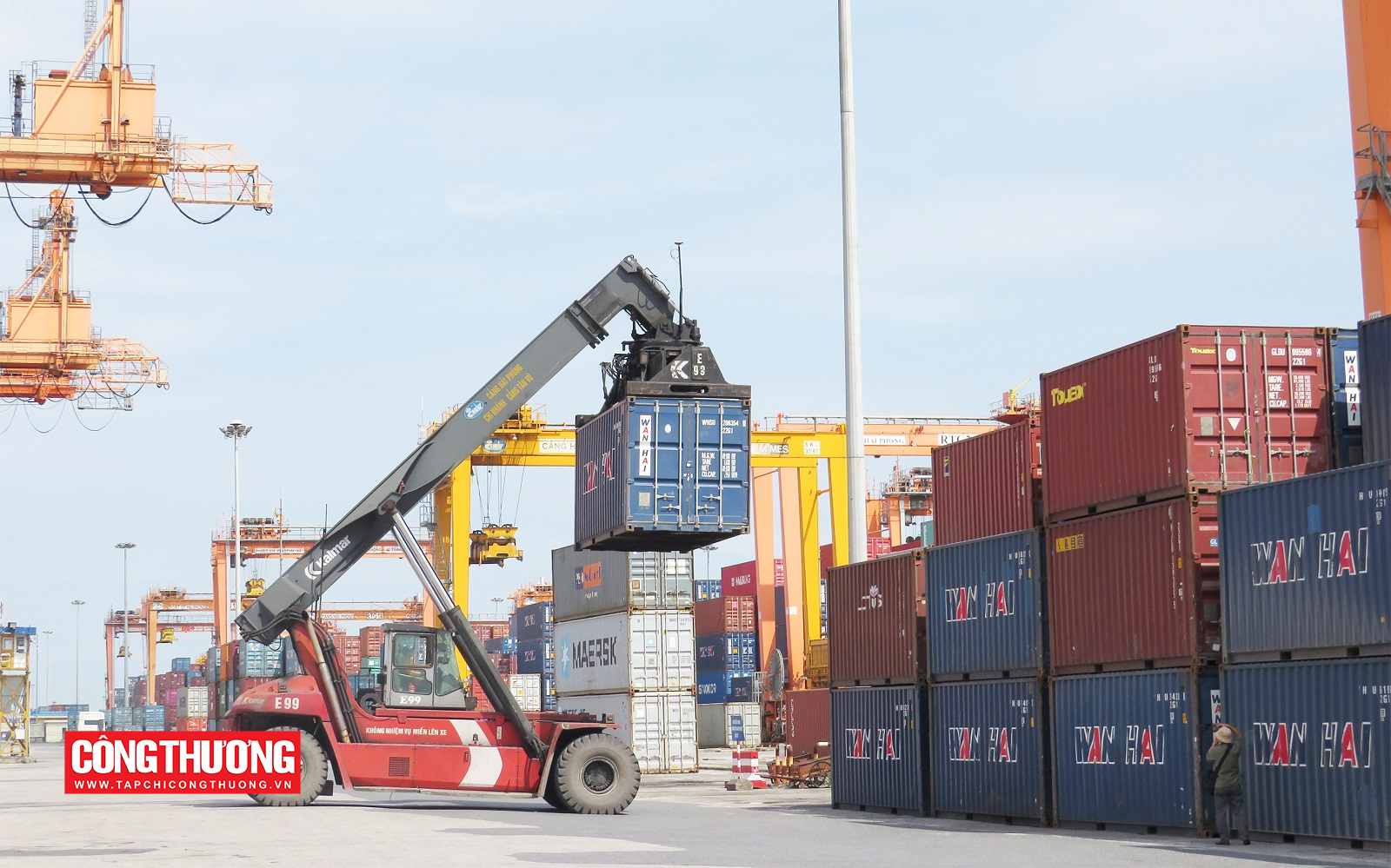 hàng hóa tân trang