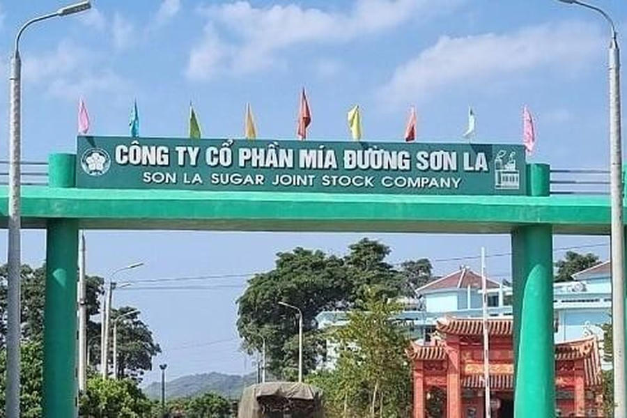 Mía đường Sơn La (SLS): Lợi nhuận bốc hơi 72%- doanh nghiệp sạch nợ vay chuẩn bị chia cổ tức 100%