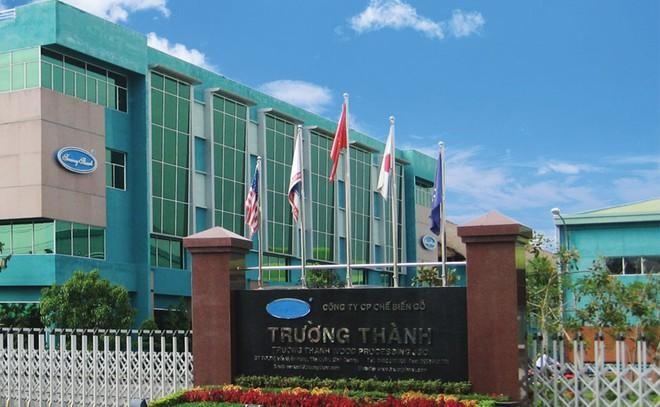 Gỗ Trường Thành (TTF) họp cổ đông bất thường trước rủi ro bị hủy niêm yết bắt buộc