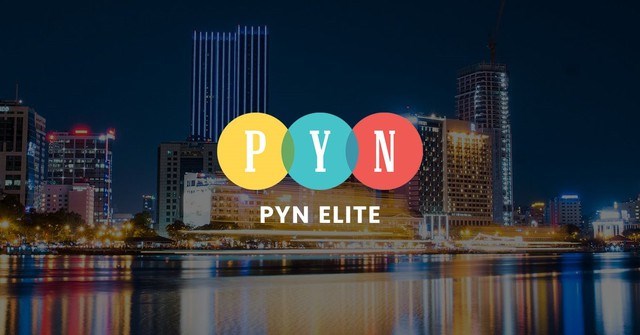 PYN Elite Fund: Hiệu suất đầu tư phân hóa vì 'VIN-Index', kiên định mục tiêu 3.200 điểm