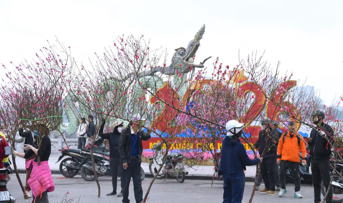 Hà Nội khúc giao mùa đón Xuân: Khi màu hoa hoà cùng sắc Tết