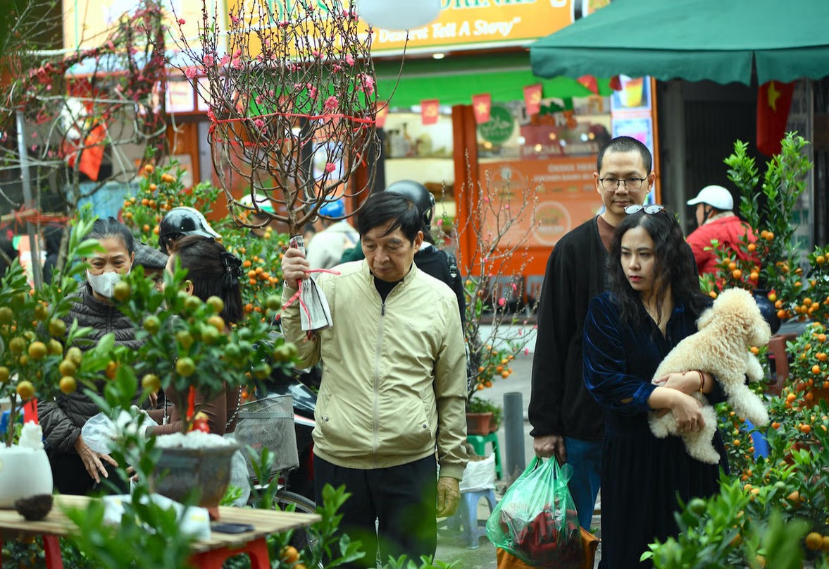Hà Nội khúc giao mùa đón Xuân: Khi màu hoa hoà cùng sắc Tết