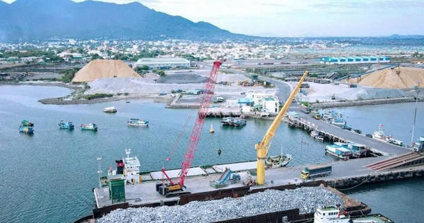 Giá trị pháp lý chuyên ngành ​nhìn từ việc tranh chấp bảo hiểm hàng hải