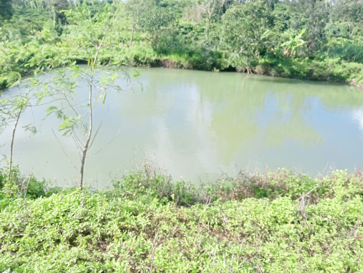 Ba trẻ nhỏ tử vong do đuối nước tại hồ tưới tiêu ở xã Ea Kly Ba trẻ nhỏ tử vong do đuối nước tại hồ tưới tiêu ở xã Ea Kly