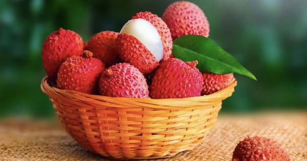 Doanh thu vải thiều Bắc Ninh năm 2026 vượt mốc 7.200 tỷ đồng, tăng kỷ lục gần 200%