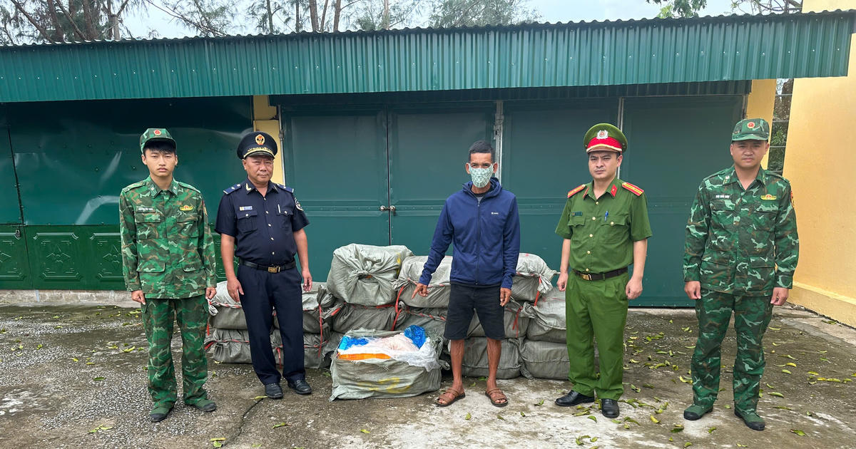 Quảng Ninh: Phát hiện bè mảng chở 800kg nầm lợn không giấy tờ