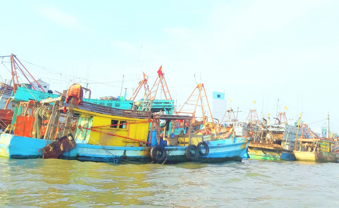 Thứ trưởng Bộ Tư pháp Phan Chí Hiếu tiếp xúc, lắng nghe kiến nghị của cử tri Sông Đốc Thứ trưởng Bộ Tư pháp Phan Chí Hiếu tiếp xúc, lắng nghe kiến nghị của cử tri Sông Đốc