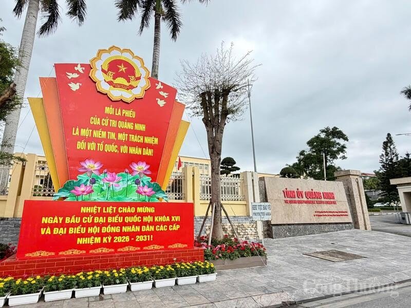 Quảng Ninh rực rỡ cờ hoa hướng về ngày bầu cử