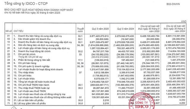 Vi phạm trong lĩnh vực môi trường và thuế, Công ty Idico (IDC) nhận án phạt nặng - Ảnh 4