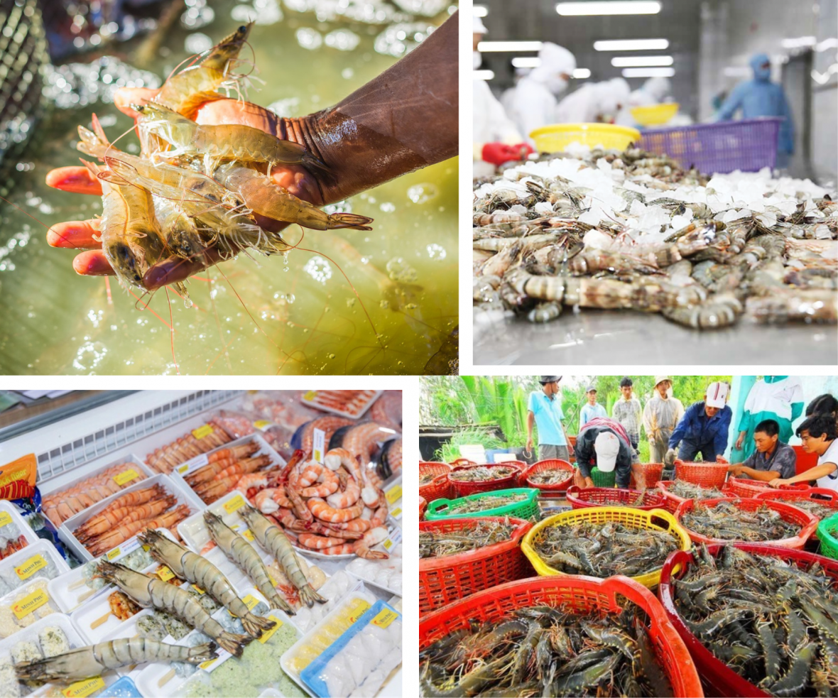 Ngành tôm Việt Nam cần tận dụng tốt cơ hội tại các thị trường châu Á