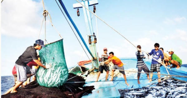 Tăng cường kiểm soát tàu cá qua hệ thống eCDT