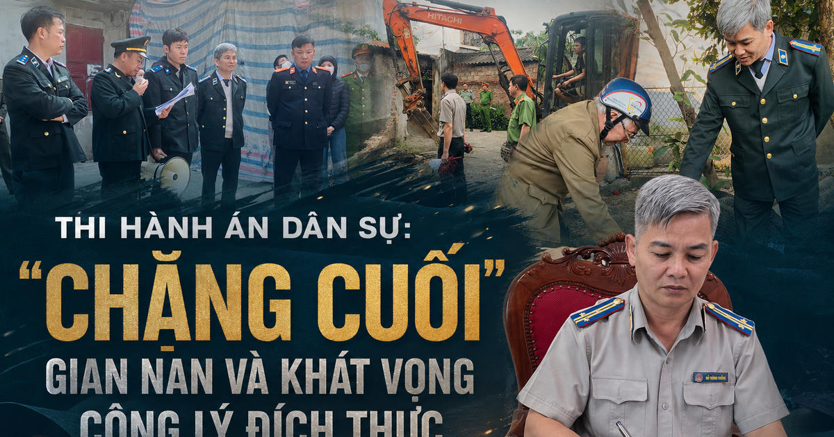 Thi hành án dân sự: 