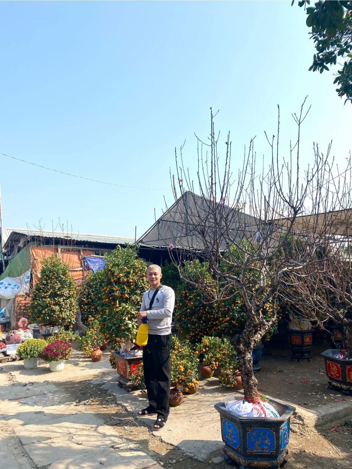 Tết về trong tiếng sóng