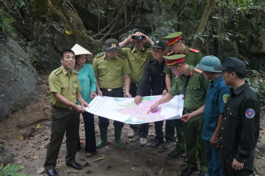 Triển khai nhiệm vụ bảo vệ và phát triển rừng tại Tuyên Quang năm 2026