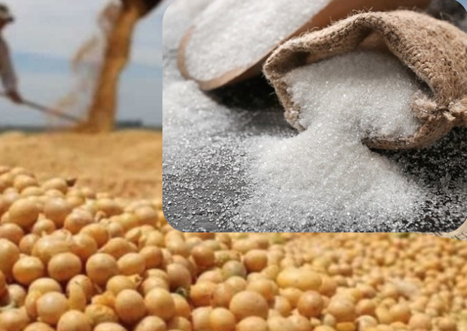 Nhóm họ đậu đồng loạt tăng giá- MXV tăng nhẹ 0-3%
