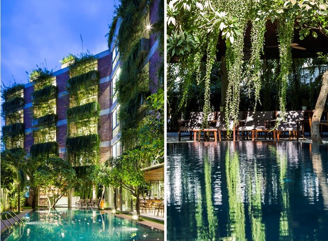 Khách sạn 5 tầng ở Hội An xanh mướt, phòng nào cũng nhìn thấy cây - Ảnh 4 Khách sạn 5 tầng ở Hội An xanh mướt, phòng nào cũng nhìn thấy cây - Ảnh 4