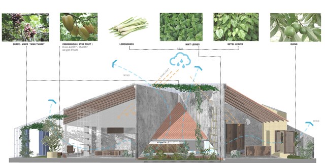 Thiết kế không giới hạn giữa nhà và vườn đem lại cảm giác tự do - Ảnh 8