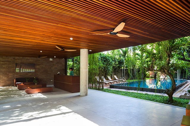 Khách sạn 5 tầng ở Hội An xanh mướt, phòng nào cũng nhìn thấy cây - Ảnh 5 Khách sạn 5 tầng ở Hội An xanh mướt, phòng nào cũng nhìn thấy cây - Ảnh 5